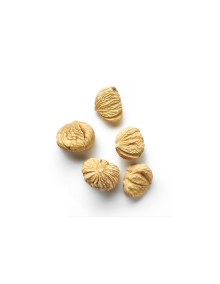 Castaña pilonga