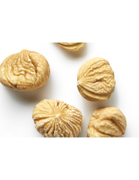 Castaña pilonga