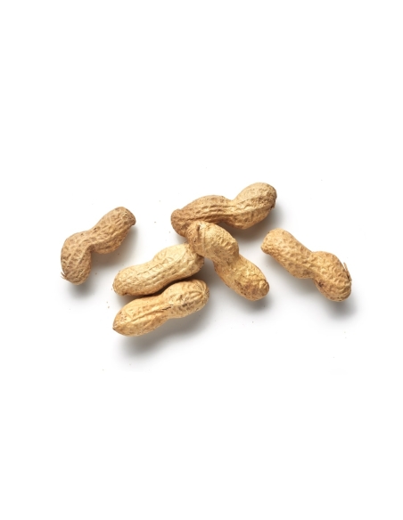 Cacauet especial torrat amb closca