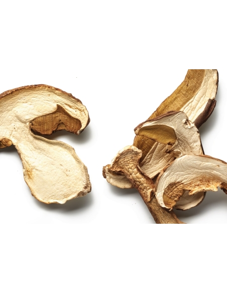 Boletus edulis (cep) deshidratado