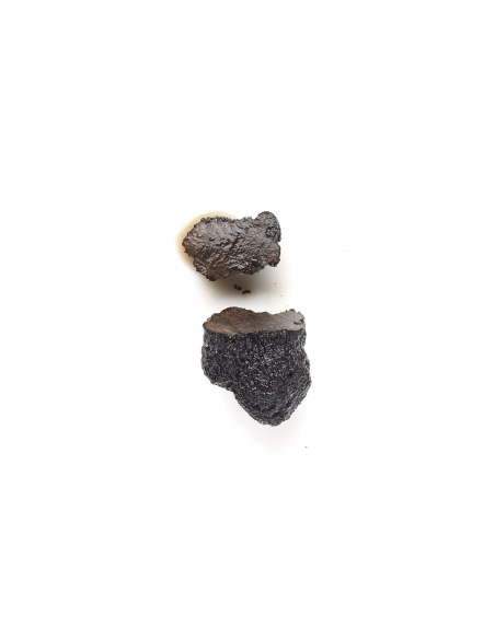 Trufa negra (melanosporum) en conserva