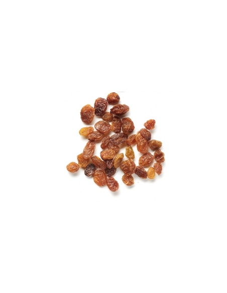 Pasa sultana