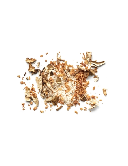 Risotto de ceps