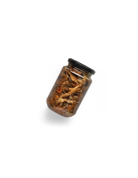 Barreja de bolets silvestres en conserva