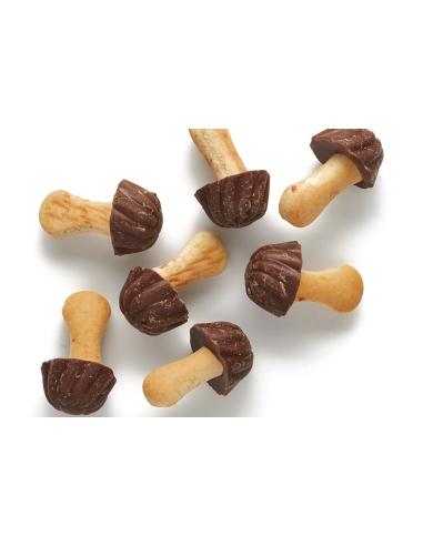 Galetes de xocolata amb Llet
