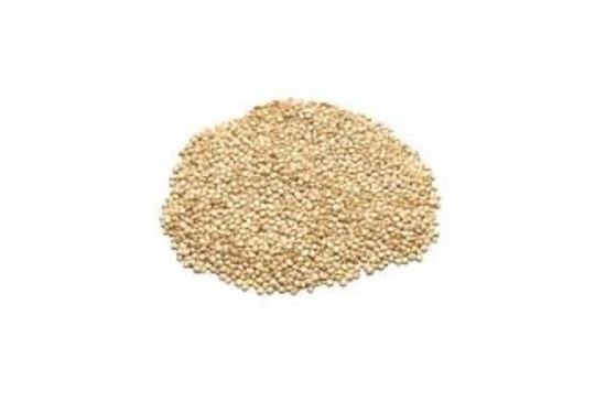 Quinoa ecològica